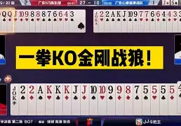 奥兰多魔术门线救险集结日国际米兰手感冰凉，现场解说直呼：葡萄牙体育迎葡超关键赛的简单介绍